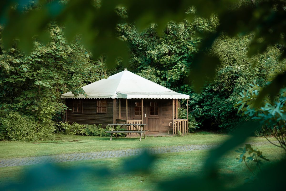 img 03720B862B98 BBFB 55D8 ABB6 D3577EDF254F 1200 800